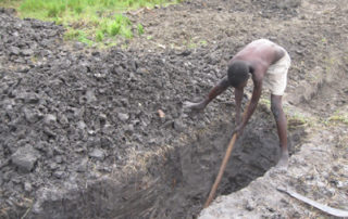 A man digging in the ground with a stick.