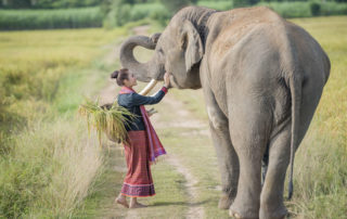 A woman standing next to an elephant on the side of a road.